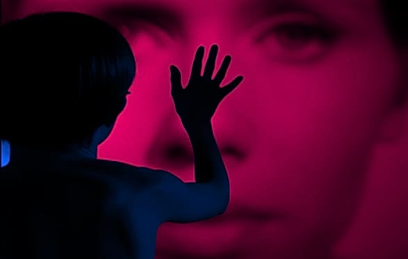 2016 yılı film programları