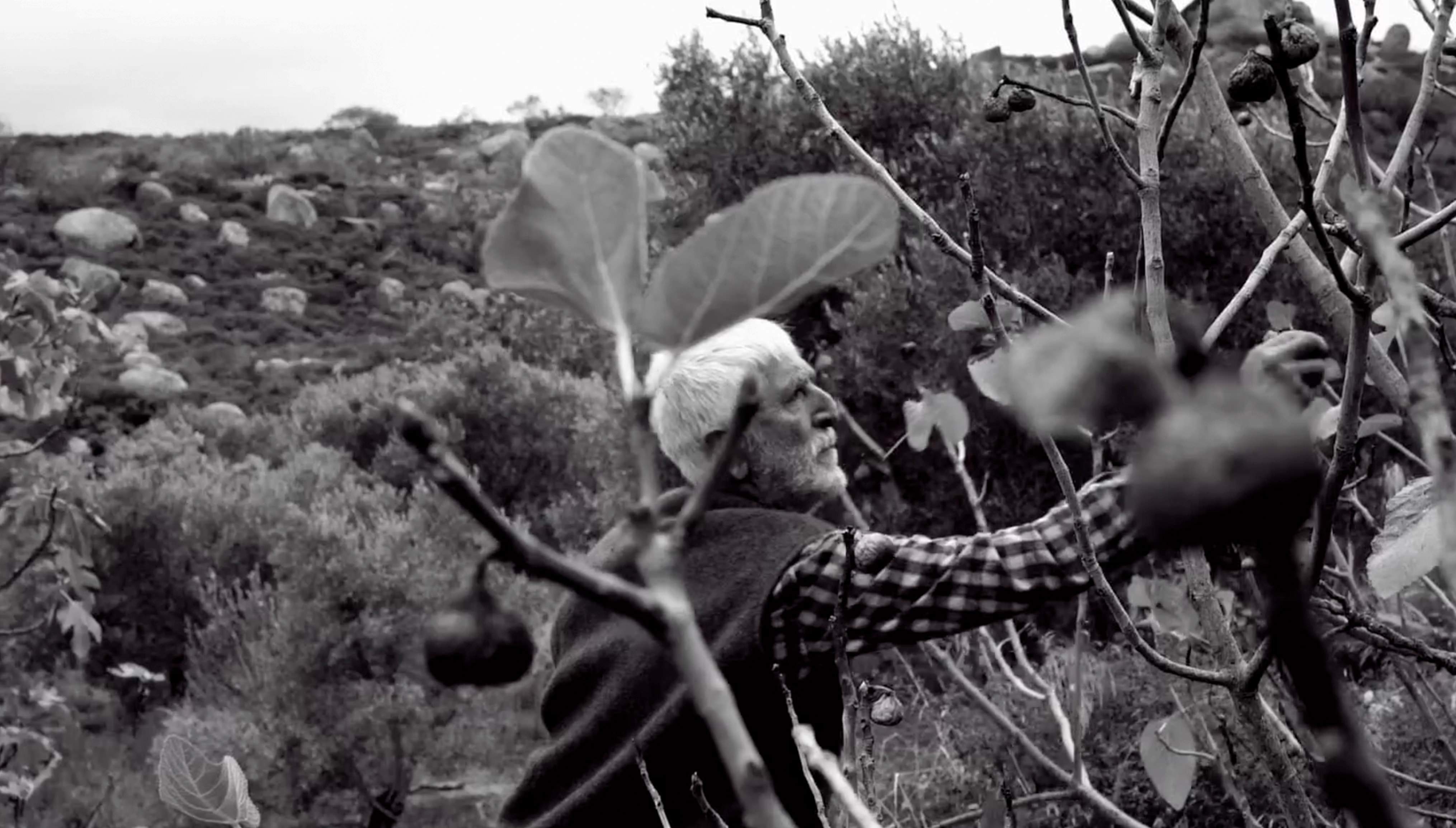 DOCUMENTARIST<br> 19. İstanbul Belgesel Günleri