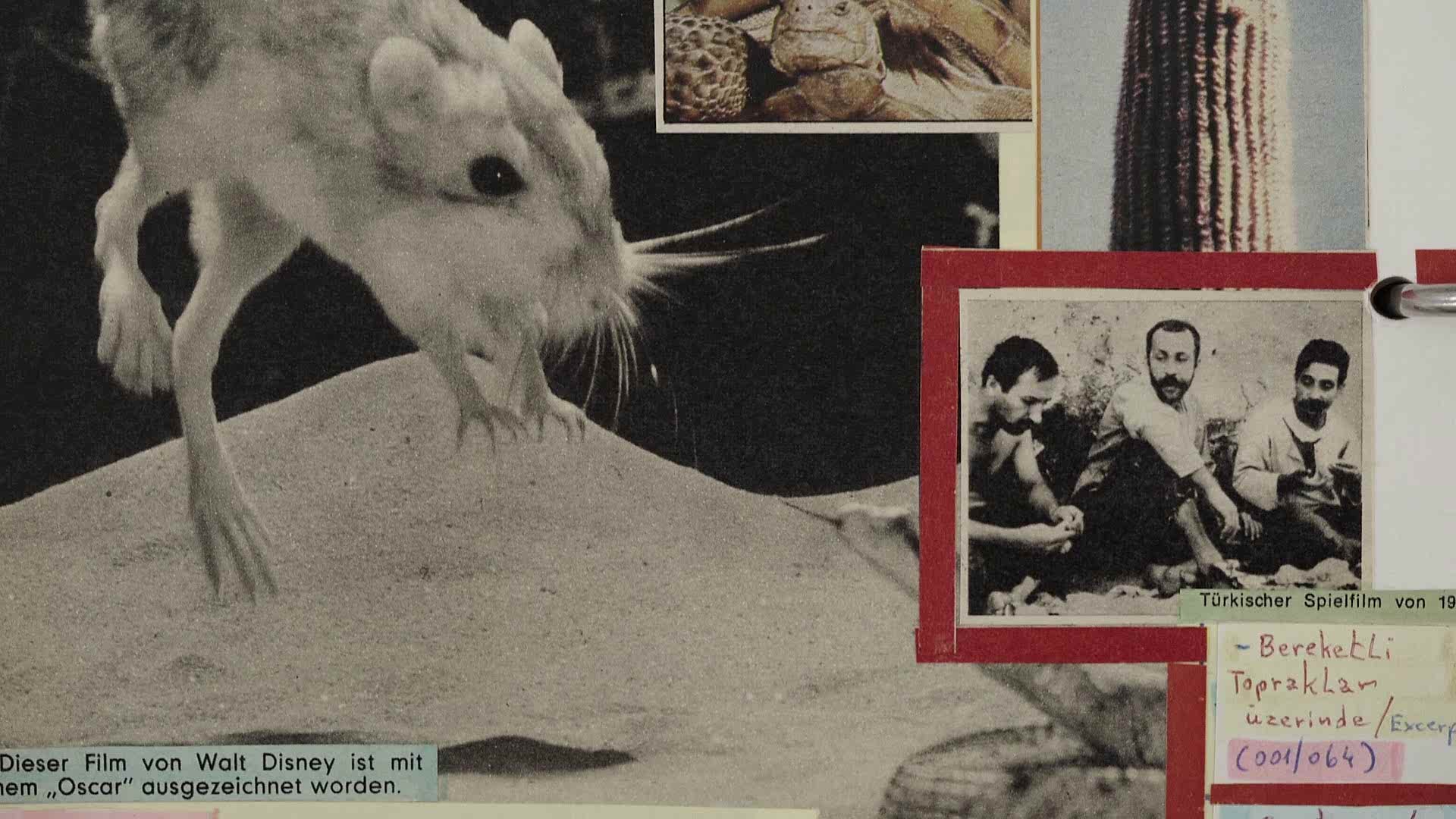 DOCUMENTARIST<br> 19. İstanbul Belgesel Günleri