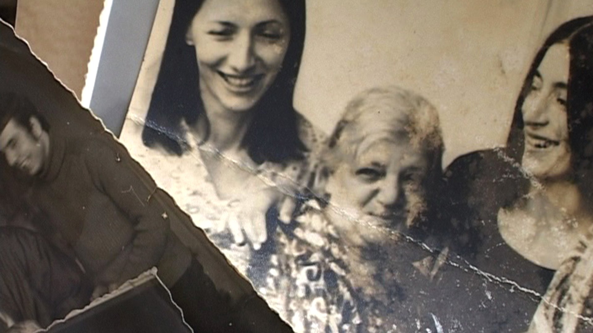 DOCUMENTARIST<br> 19. İstanbul Belgesel Günleri