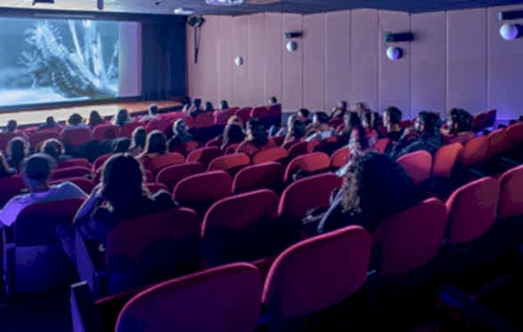 Pera Film Hakkında