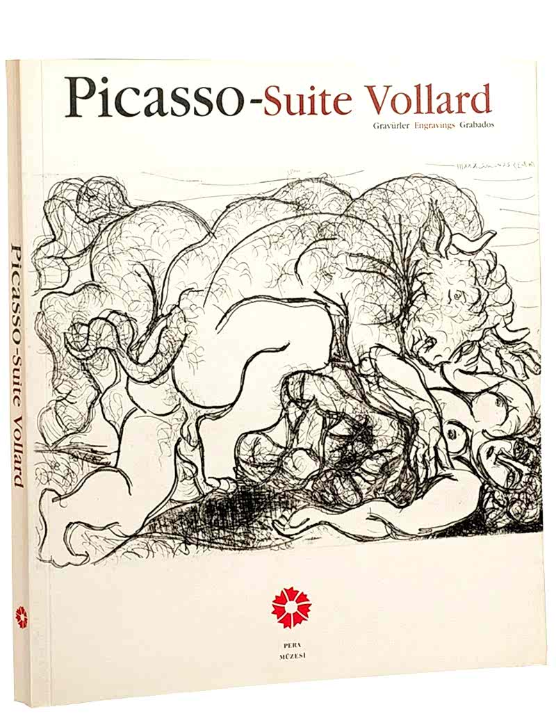 Picasso 