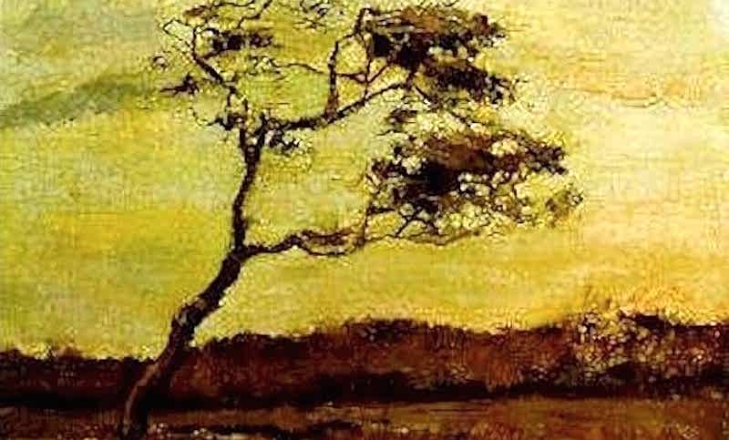 Rüzgârın Başrolde Olduğu Dokuz İlham Verici Sanat Eseri
